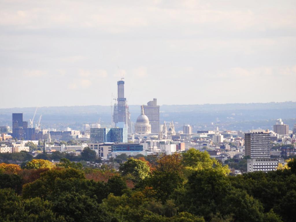 Отель Roseview Alexandra Palace 3*